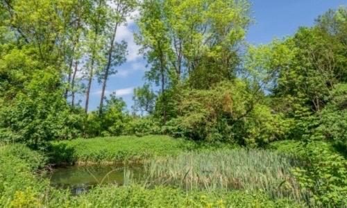 Ferienhaus Kurt Elbingerode  Exteriör bild